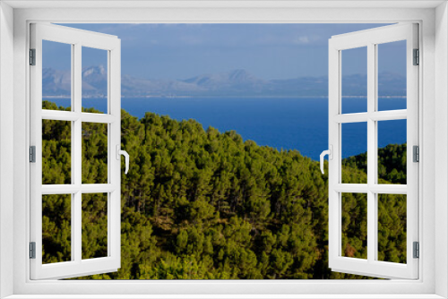 Fototapeta Naklejka Na Ścianę Okno 3D - bosque de pinos, Cap de Menorca, bahia de Alcudia, Mallorca, balearic islands, spain, europe