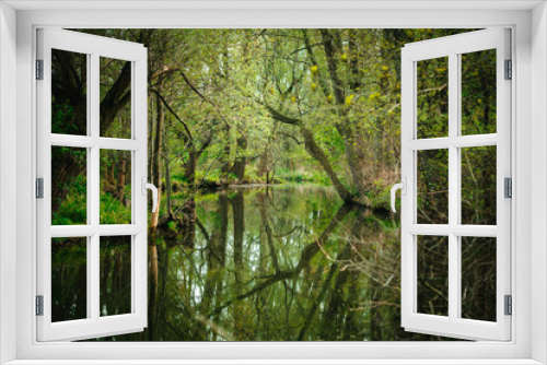 Fototapeta Naklejka Na Ścianę Okno 3D - Misty and deep green forest and their reflection in the river water. Beautiful colorful natural landscape with a river surrounded by green foliage of trees in the sunlight. Beauty of nature concept