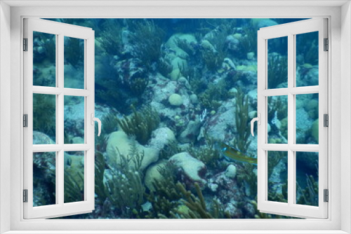 Fototapeta Naklejka Na Ścianę Okno 3D - Undersea