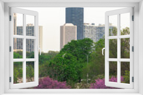 Fototapeta Naklejka Na Ścianę Okno 3D - A photograph of highrise residential condominiums on the north side of Chicago on a sunny day with bright pink flowered trees and lush green grass in the foreground.