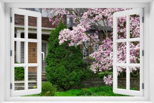 Fototapeta Naklejka Na Ścianę Okno 3D - Front door of house with beautiful magnolia tree in bloom