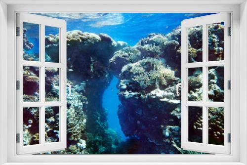 Fototapeta Naklejka Na Ścianę Okno 3D - Group of coral fish  water.