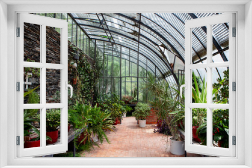 Fototapeta Naklejka Na Ścianę Okno 3D - Gardening potted plants in a vintage greenhouse