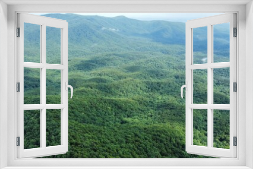 green forest in the mountains