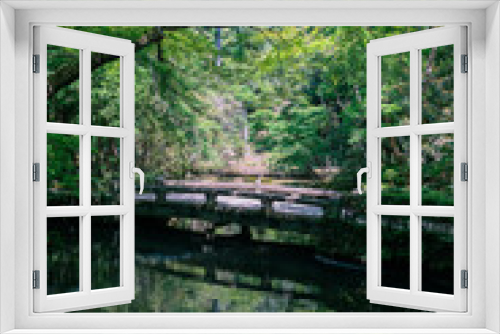 Fototapeta Naklejka Na Ścianę Okno 3D - 法然院の庭園