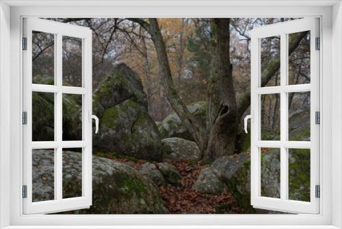 Fototapeta Naklejka Na Ścianę Okno 3D - A forest with sandstone boulders on a misty autumn morning