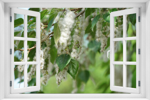 Fototapeta Naklejka Na Ścianę Okno 3D - nature