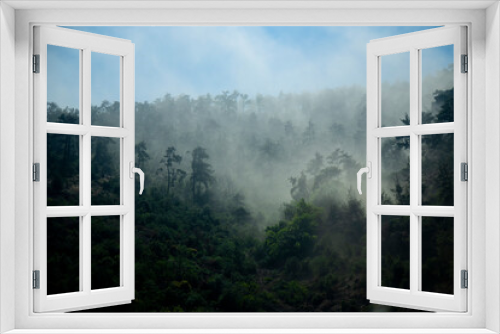 Fototapeta Naklejka Na Ścianę Okno 3D - 
curtain of fog over pine forests