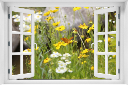 Fototapeta Naklejka Na Ścianę Okno 3D - 여름 식물들