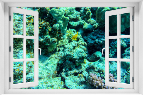 Fototapeta Naklejka Na Ścianę Okno 3D - A Underwater cave in fantasy underwater world