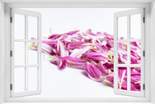 Fototapeta Naklejka Na Ścianę Okno 3D - Pile of beautiful dahlia petals for background