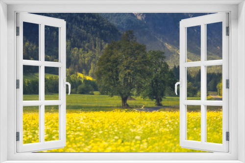 Fototapeta Naklejka Na Ścianę Okno 3D - landscape with yellow flowers