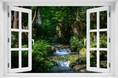 Fototapeta Naklejka Na Ścianę Okno 3D - beautiful creek with moss and fern