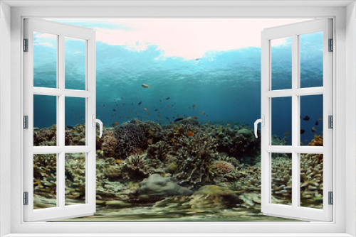 Fototapeta Naklejka Na Ścianę Okno 3D - Reef Coral Scene. Tropical underwater sea fish. Hard and soft corals, underwater landscape. Philippines. Virtual Reality 360.