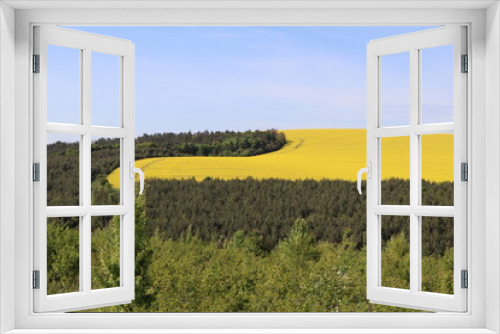 Fototapeta Naklejka Na Ścianę Okno 3D - Landscape with forest and yellow field