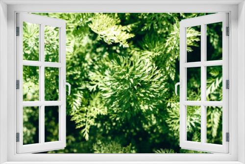 Fototapeta Naklejka Na Ścianę Okno 3D - A very green background