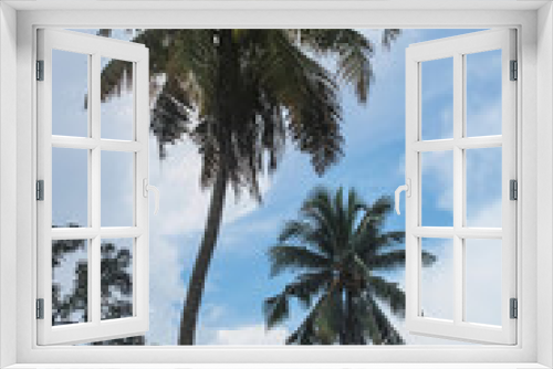 Fototapeta Naklejka Na Ścianę Okno 3D - palm trees and blue sky