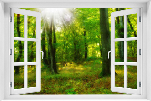 Fototapeta Naklejka Na Ścianę Okno 3D - Forest beauty in springtime, tall tree trunks in green harmony. Tranquility of summer morning in the jungle, hikers dream with copyspace. Perfect place for a date or picnic, nature scenic wallpaper