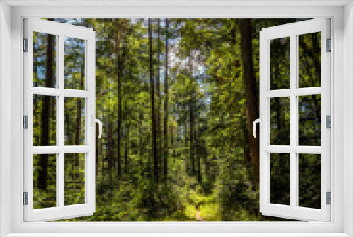Fototapeta Naklejka Na Ścianę Okno 3D - Im Naturpark Stromberg-Heuchelberg
