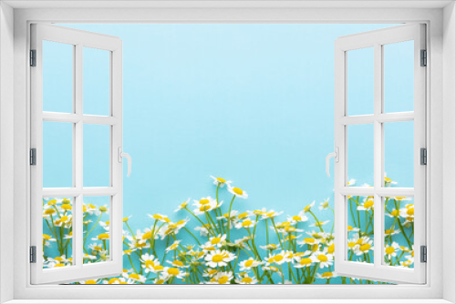 Fototapeta Naklejka Na Ścianę Okno 3D - Background with chamomiles frame and copy space. Flat layer, top view.