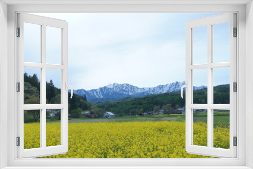 Fototapeta Naklejka Na Ścianę Okno 3D - 黄色い花がある風景