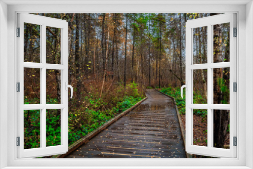 Fototapeta Naklejka Na Ścianę Okno 3D - Rainy day in late autumn, wooden path through the forest in the natural park in the city of Richmond British Columbia, Canada
