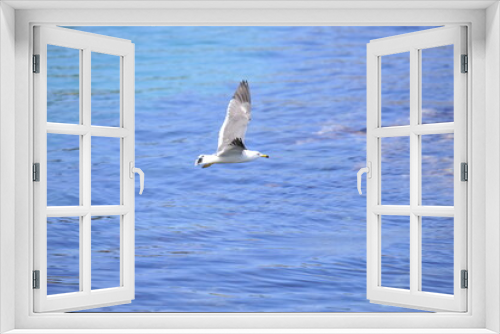 Fototapeta Naklejka Na Ścianę Okno 3D - a summer ocean view