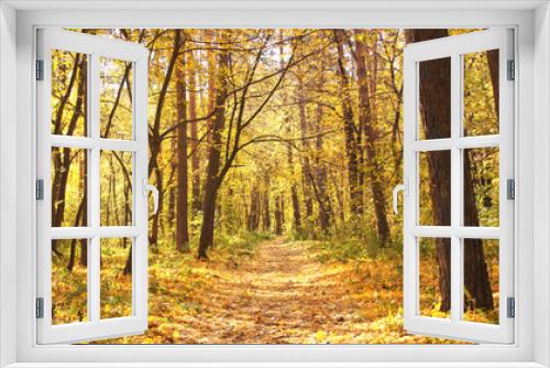 Fototapeta Naklejka Na Ścianę Okno 3D - Calm fall season. Beautiful landscape with road in autumn forest. Maples and oaks trees with yellow and orange leaves