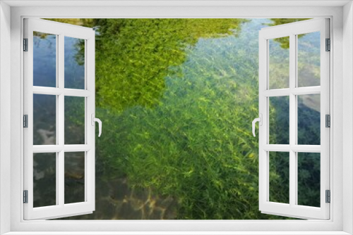 Fototapeta Naklejka Na Ścianę Okno 3D - grass and water