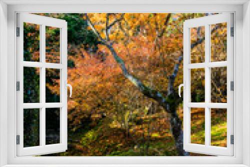 Fototapeta Naklejka Na Ścianę Okno 3D - 京都嵐山から嵯峨野周辺の紅葉