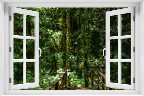 Fototapeta Naklejka Na Ścianę Okno 3D - Rainforest on the island of St. Vincent and the Grenadines in Caribbean