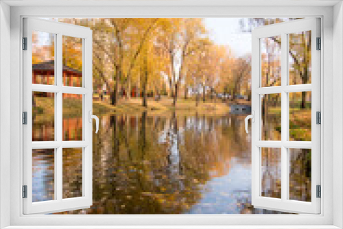 Fototapeta Naklejka Na Ścianę Okno 3D - Golden autumn trees. autumn rural park tree meadow landscape	