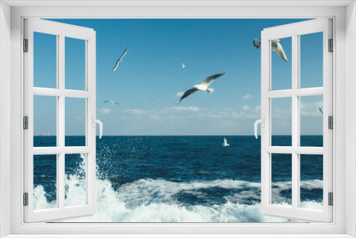 Fototapeta Naklejka Na Ścianę Okno 3D - Seagulls flying over the sea