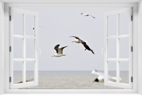 Fototapeta Naklejka Na Ścianę Okno 3D - Schwarm Möwen über der See