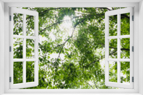 Fototapeta Naklejka Na Ścianę Okno 3D - OLIB-PHOTO-17
