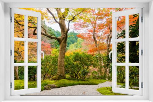 Fototapeta Naklejka Na Ścianę Okno 3D - 紅葉の瑠璃光院（京都府左京区）
