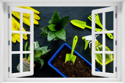 Fototapeta Naklejka Na Ścianę Okno 3D - Gardening equipment and green plant. Gardening layout for summer season