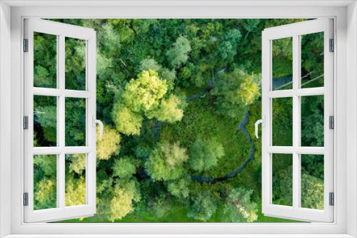 Fototapeta Naklejka Na Ścianę Okno 3D - Aerial top down view of green mixed deciduous and coniferous forest.