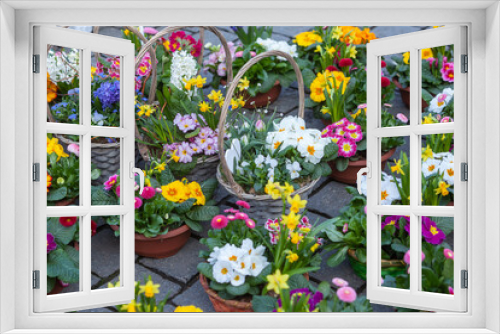 Fototapeta Naklejka Na Ścianę Okno 3D -  Blumenschalen und Körbe mit verschiedenen Frühlingsblumen bepflanzt.