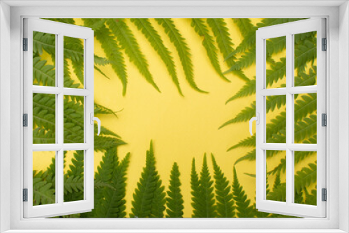 Fototapeta Naklejka Na Ścianę Okno 3D - Green fern leaves on a yellow background in the form of a frame. Summer concept. Flat layout, copy space