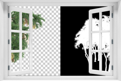 Fototapeta Naklejka Na Ścianę Okno 3D - Palm trees isolated on background with mask. 3d rendering - illustration