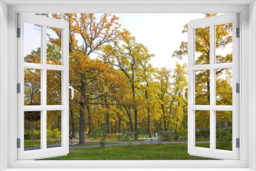 Fototapeta Naklejka Na Ścianę Okno 3D - Autumn park in Bucha, Ukraine	
