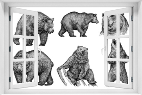 Fototapeta Naklejka Na Ścianę Okno 3D - Vintage engrave isolated bear set illustration ink sketch. Wild brown bear background grizzly art