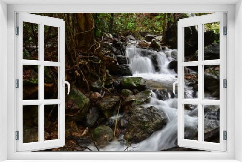 Fototapeta Naklejka Na Ścianę Okno 3D - Scenery Along Nature Trail at Waterfall National Park in Ranong Province