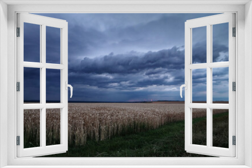 Fototapeta Naklejka Na Ścianę Okno 3D - Zboże i burza nad polami.