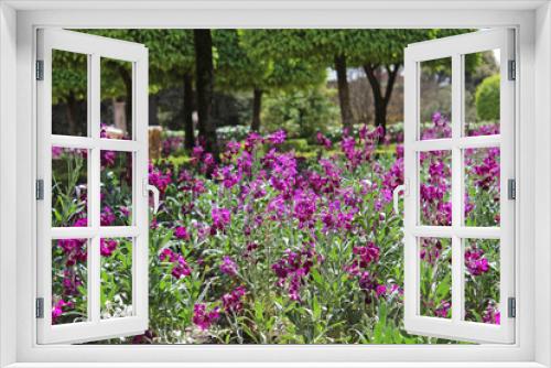 Fototapeta Naklejka Na Ścianę Okno 3D - Blooming flower garden in Cordoba, Andalusia, Spain.
