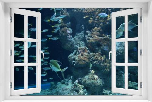 Fototapeta Naklejka Na Ścianę Okno 3D - Under Water View of the Ocean, Coral Reef and Fishes