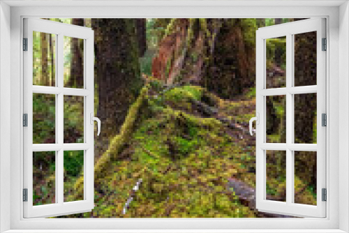 Fototapeta Naklejka Na Ścianę Okno 3D - Pacific Northwest Scenic Landscapes