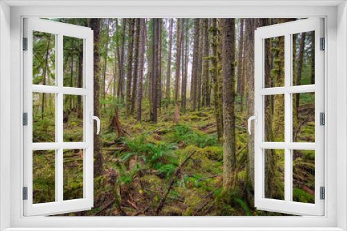 Fototapeta Naklejka Na Ścianę Okno 3D - Pacific Northwest Scenic Landscapes