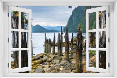 Fototapeta Naklejka Na Ścianę Okno 3D - The decaying stumps of a wharf where once there was a cannery on Gun Boat Passage at low tide.  In Heiltsuk Territory along the Inland Passage on Brisih Columbia's Central Coast. in June. Vertical